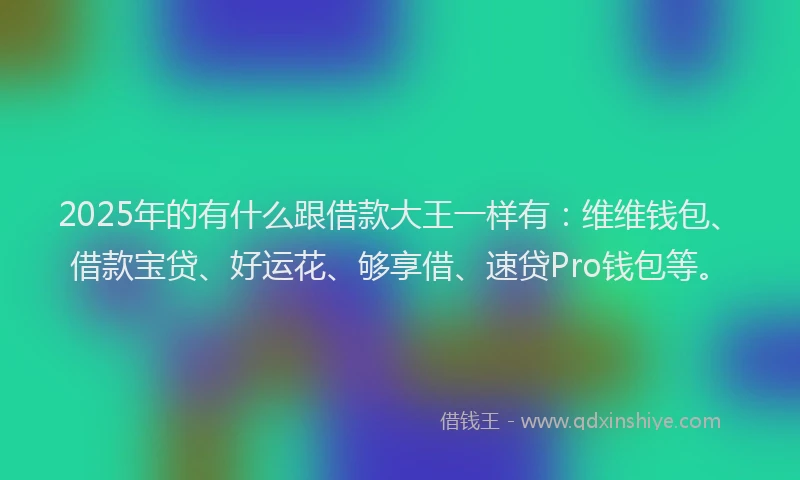 2025年的有什么跟借款大王一样有：维维钱包、借款宝贷、好运花、够享借、速贷Pro钱包等。