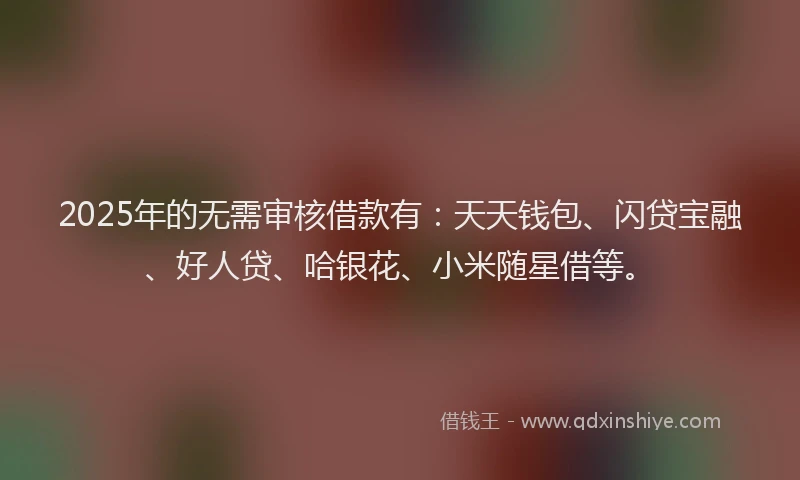 2025年的无需审核借款有：天天钱包、闪贷宝融、好人贷、哈银花、小米随星借等。
