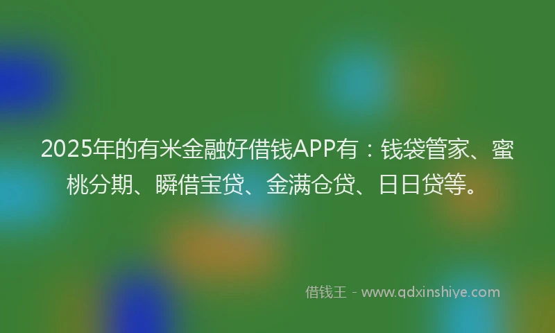 2025年的有米金融好借钱APP有：钱袋管家、蜜桃分期、瞬借宝贷、金满仓贷、日日贷等。