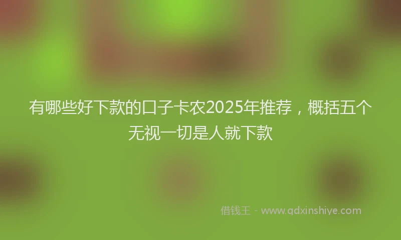 有哪些好下款的口子卡农2025年推荐，概括五个无视一切是人就下款