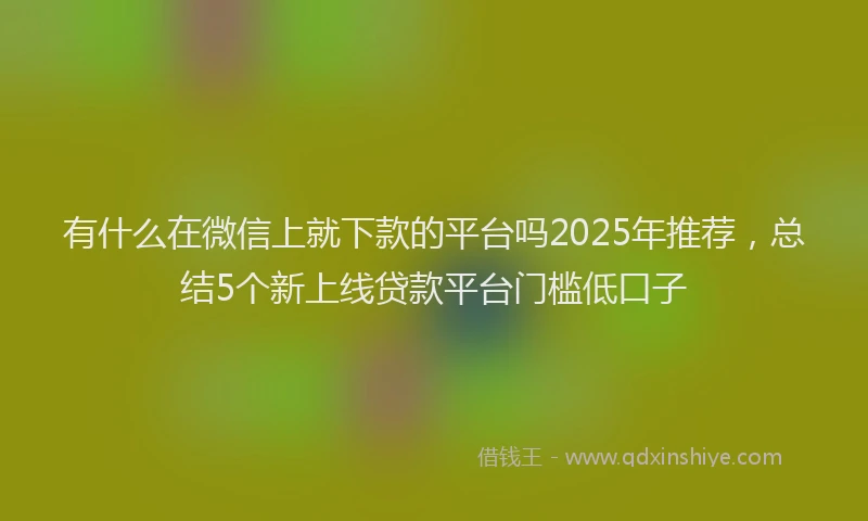 有什么在微信上就下款的平台吗2025年推荐，总结5个新上线贷款平台门槛低口子