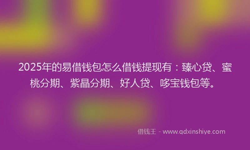 2025年的易借钱包怎么借钱提现有:臻心贷、蜜桃分期、紫晶分期、好人贷、哆宝钱包等。