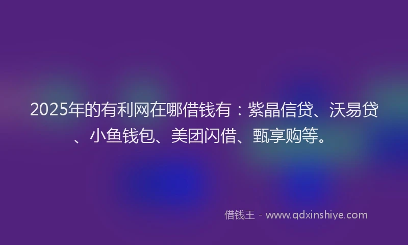 2025年的有利网在哪借钱有：紫晶信贷、沃易贷、小鱼钱包、美团闪借、甄享购等。