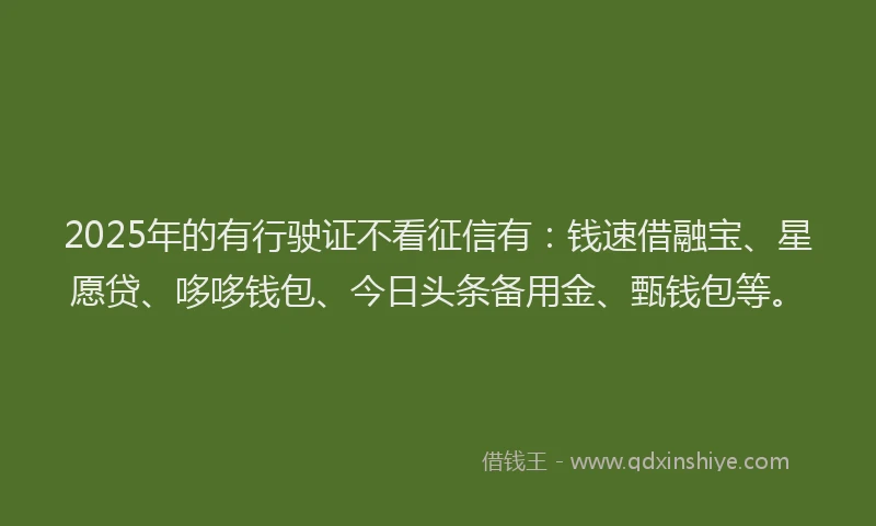 2025年的有行驶证不看征信有：钱速借融宝、星愿贷、哆哆钱包、今日头条备用金、甄钱包等。
