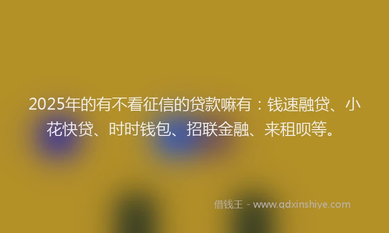 2025年的有不看征信的贷款嘛有：钱速融贷、小花快贷、时时钱包、招联金融、来租呗等。