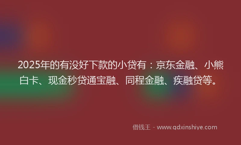 2025年的有没好下款的小贷有：京东金融、小熊白卡、现金秒贷通宝融、同程金融、疾融贷等。