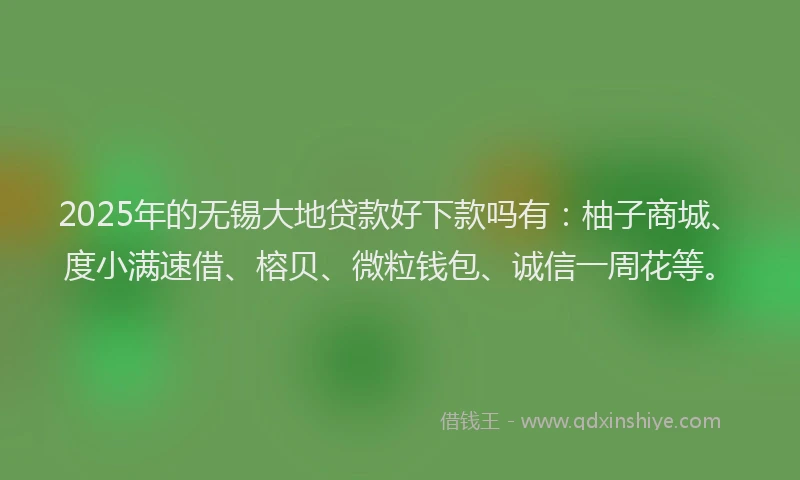 2025年的无锡大地贷款好下款吗有：柚子商城、度小满速借、榕贝、微粒钱包、诚信一周花等。