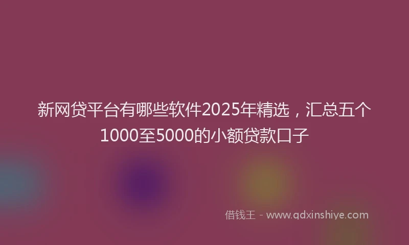 新网贷平台有哪些软件2025年精选，汇总五个1000至5000的小额贷款口子