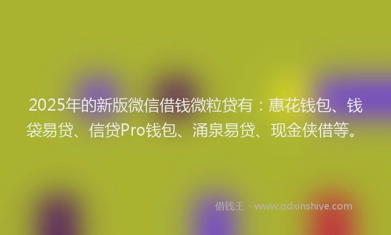 2025年的新版微信借钱微粒贷有:惠花钱包、钱袋易贷、信贷Pro钱包、涌泉易贷、现金侠借等。