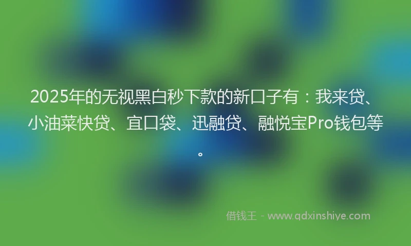 2025年的无视黑白秒下款的新口子有：我来贷、小油菜快贷、宜口袋、迅融贷、融悦宝Pro钱包等。