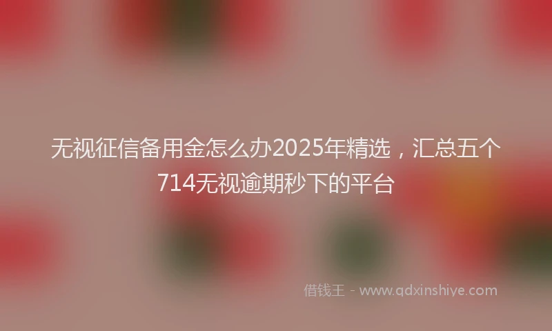 无视征信备用金怎么办2025年精选，汇总五个714无视逾期秒下的平台