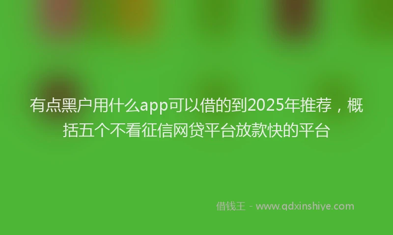 有点黑户用什么app可以借的到2025年推荐，概括五个不看征信网贷平台放款快的平台