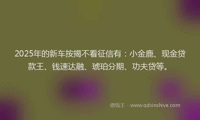 2025年的新车按揭不看征信有：小金鹿、现金贷款王、钱速达融、琥珀分期、功夫贷等。