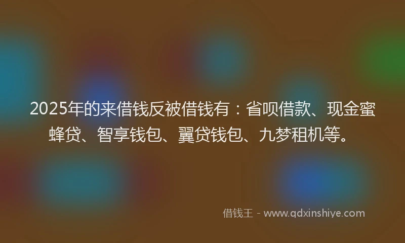 2025年的来借钱反被借钱有：省呗借款、现金蜜蜂贷、智享钱包、翼贷钱包、九梦租机等。