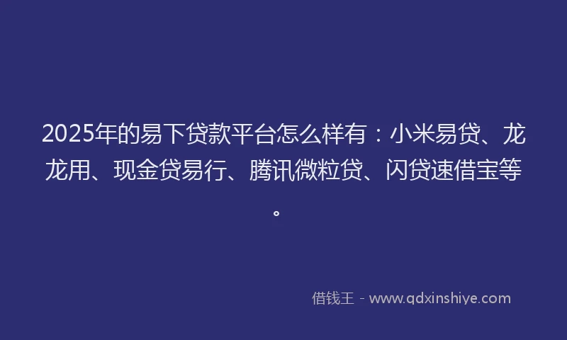 2025年的易下贷款平台怎么样有：小米易贷、龙龙用、现金贷易行、腾讯微粒贷、闪贷速借宝等。