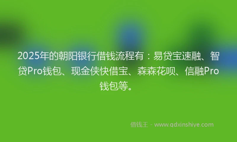 2025年的朝阳银行借钱流程有：易贷宝速融、智贷Pro钱包、现金侠快借宝、森森花呗、信融Pro钱包等。