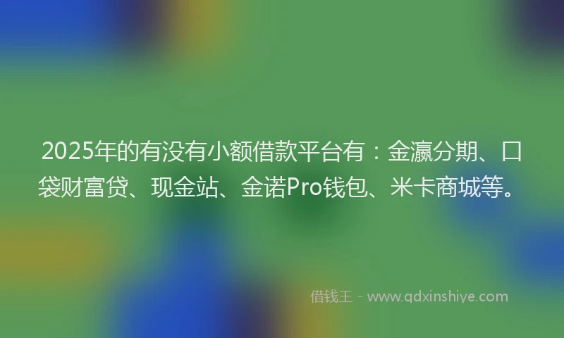 2025年的有没有小额借款平台有：金瀛分期、口袋财富贷、现金站、金诺Pro钱包、米卡商城等。