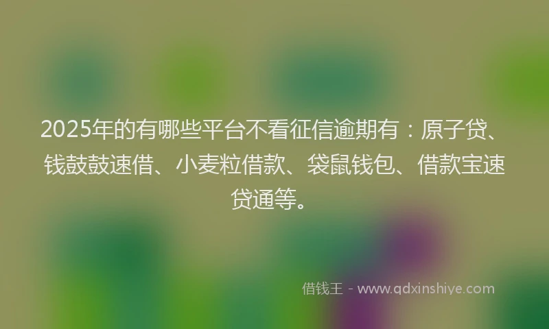 2025年的有哪些平台不看征信逾期有：原子贷、钱鼓鼓速借、小麦粒借款、袋鼠钱包、借款宝速贷通等。