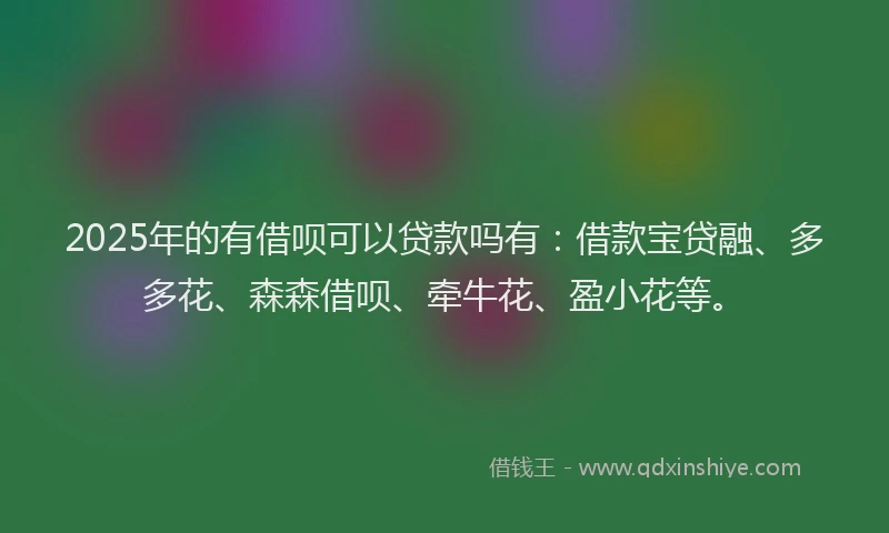 2025年的有借呗可以贷款吗有：借款宝贷融、多多花、森森借呗、牵牛花、盈小花等。