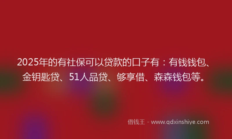 2025年的有社保可以贷款的口子有：有钱钱包、金钥匙贷、51人品贷、够享借、森森钱包等。