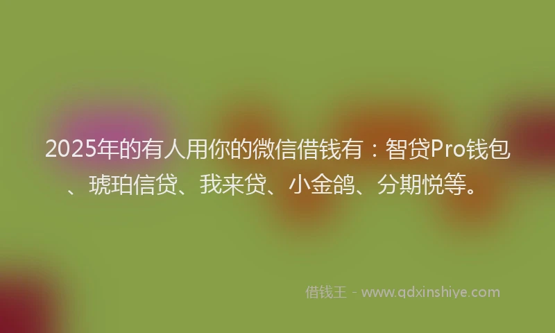 2025年的有人用你的微信借钱有：智贷Pro钱包、琥珀信贷、我来贷、小金鸽、分期悦等。