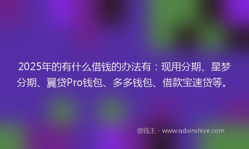 2025年的有什么借钱的办法有：现用分期、星梦分期、翼贷Pro钱包、多多钱包、借款宝速贷等。