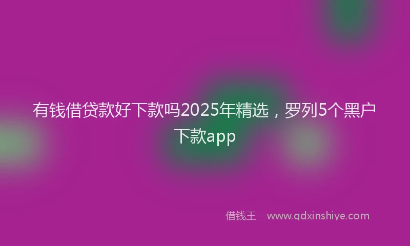 有钱借贷款好下款吗2025年精选，罗列5个黑户下款app