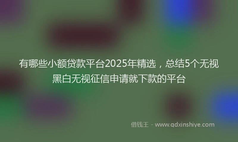 有哪些小额贷款平台2025年精选，总结5个无视黑白无视征信申请就下款的平台