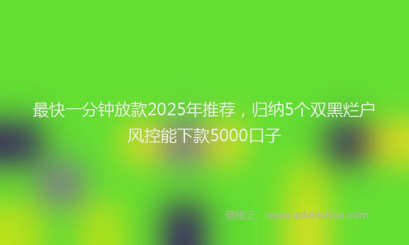 最快一分钟放款2025年推荐，归纳5个双黑烂户风控能下款5000口子