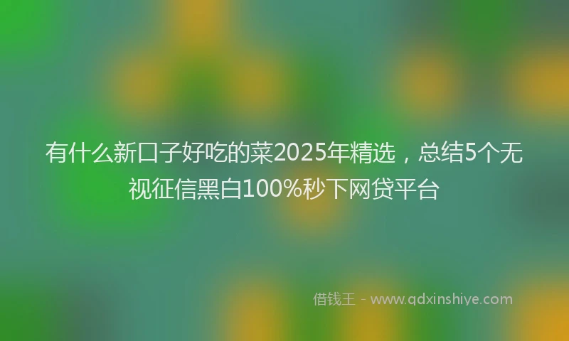 有什么新口子好吃的菜2025年精选，总结5个无视征信黑白100%秒下网贷平台