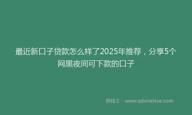最近新口子贷款怎么样了2025年推荐，分享5个网黑夜间可下款的口子