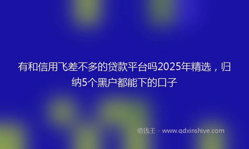 有和信用飞差不多的贷款平台吗2025年精选，归纳5个黑户都能下的口子