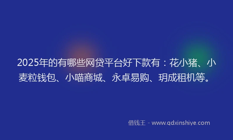 2025年的有哪些网贷平台好下款有：花小猪、小麦粒钱包、小喵商城、永卓易购、玥成租机等。