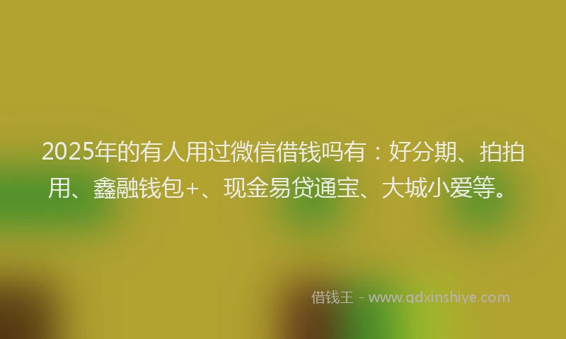 2025年的有人用过微信借钱吗有：好分期、拍拍用、鑫融钱包+、现金易贷通宝、大城小爱等。