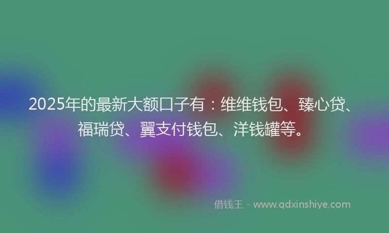 2025年的最新大额口子有：维维钱包、臻心贷、福瑞贷、翼支付钱包、洋钱罐等。