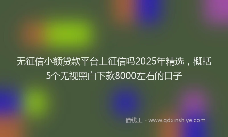 无征信小额贷款平台上征信吗2025年精选，概括5个无视黑白下款8000左右的口子