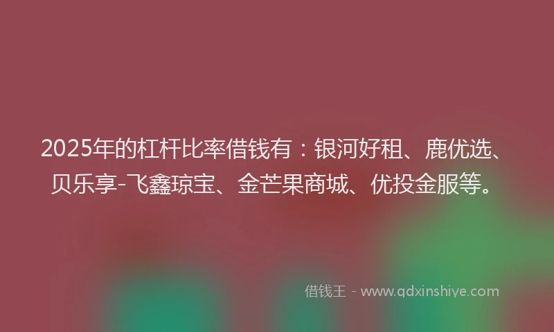 2025年的杠杆比率借钱有：银河好租、鹿优选、贝乐享-飞鑫琼宝、金芒果商城、优投金服等。