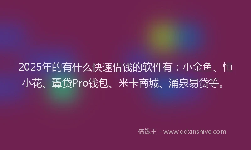 2025年的有什么快速借钱的软件有：小金鱼、恒小花、翼贷Pro钱包、米卡商城、涌泉易贷等。