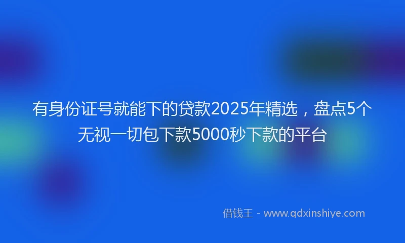 有身份证号就能下的贷款2025年精选，盘点5个无视一切包下款5000秒下款的平台