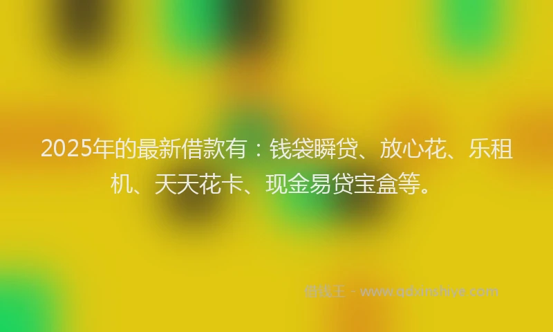 2025年的最新借款有：钱袋瞬贷、放心花、乐租机、天天花卡、现金易贷宝盒等。
