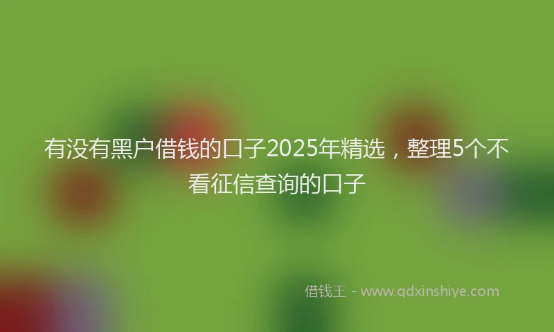 有没有黑户借钱的口子2025年精选，整理5个不看征信查询的口子