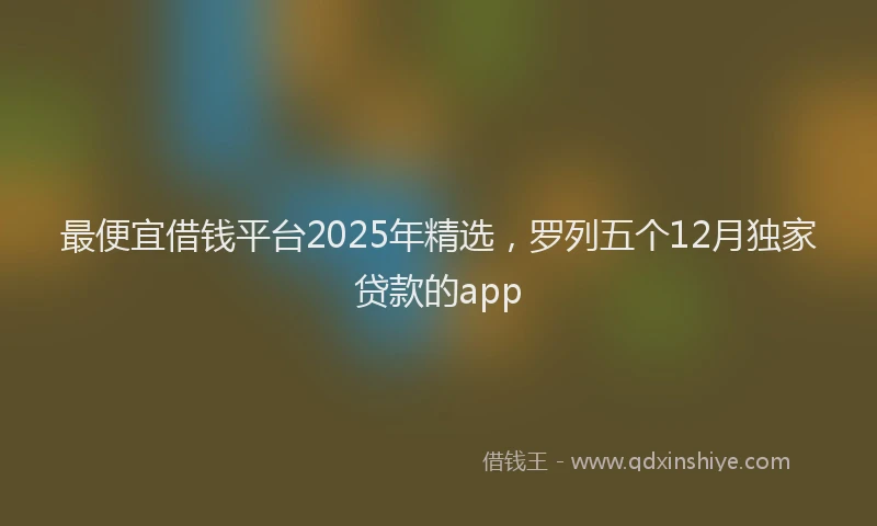 最便宜借钱平台2025年精选，罗列五个12月独家贷款的app