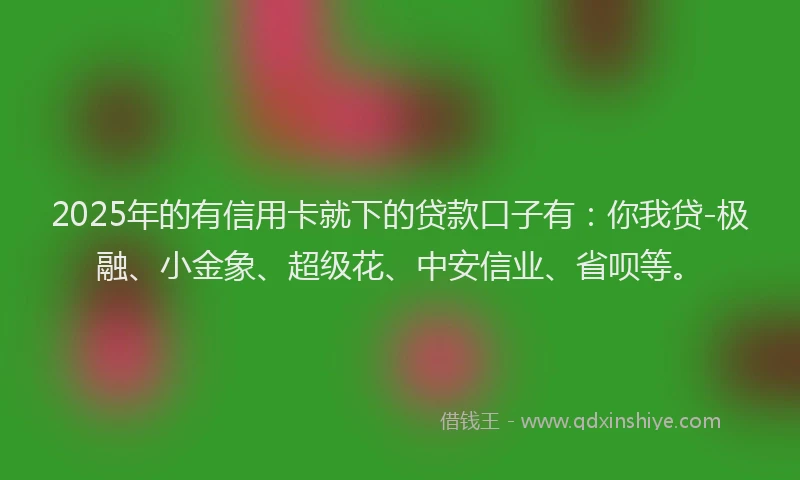 2025年的有信用卡就下的贷款口子有：你我贷-极融、小金象、超级花、中安信业、省呗等。