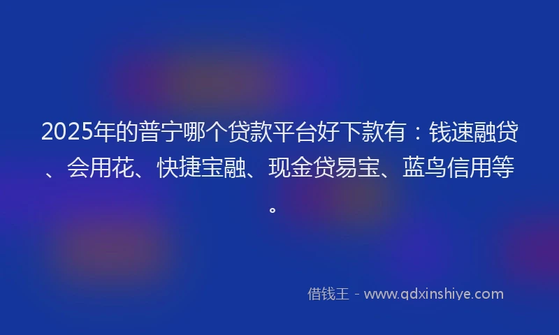 2025年的普宁哪个贷款平台好下款有：钱速融贷、会用花、快捷宝融、现金贷易宝、蓝鸟信用等。
