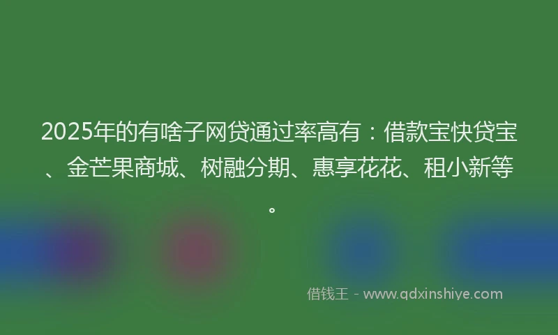 2025年的有啥子网贷通过率高有：借款宝快贷宝、金芒果商城、树融分期、惠享花花、租小新等。