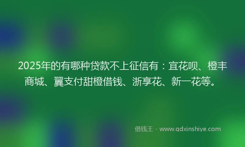 2025年的有哪种贷款不上征信有：宜花呗、橙丰商城、翼支付甜橙借钱、浙享花、新一花等。