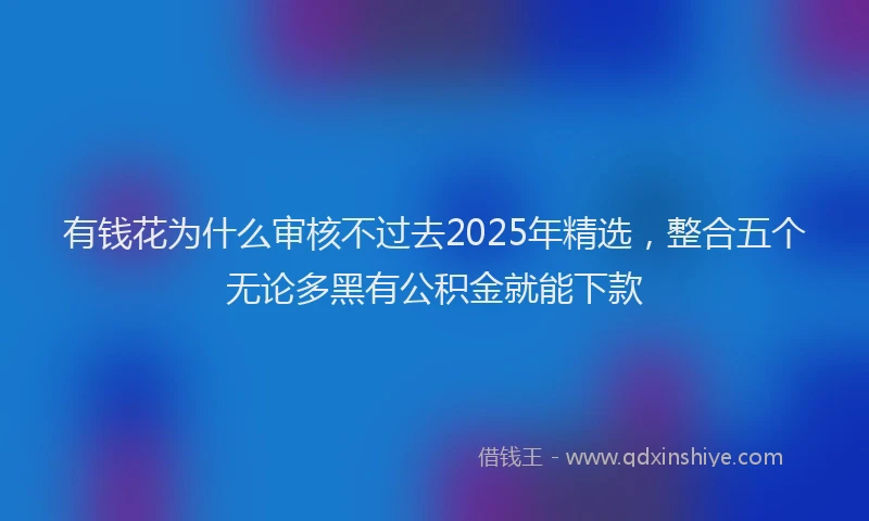 有钱花为什么审核不过去2025年精选，整合五个无论多黑有公积金就能下款