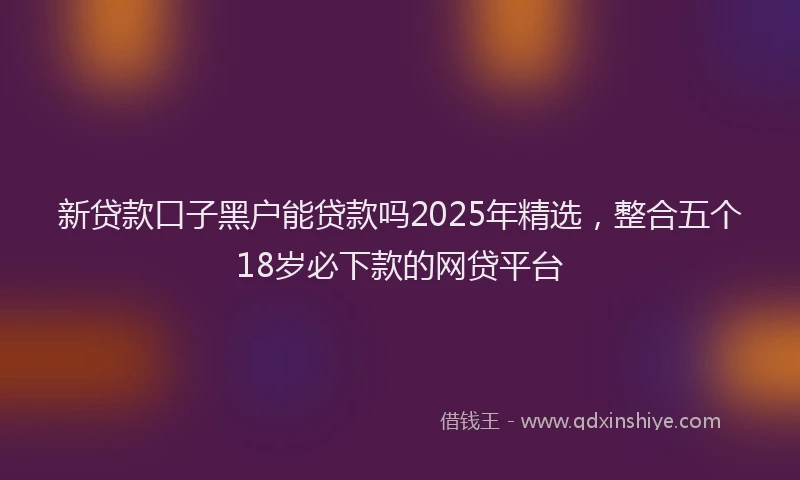 新贷款口子黑户能贷款吗2025年精选，整合五个18岁必下款的网贷平台