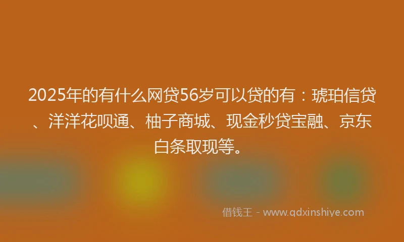 2025年的有什么网贷56岁可以贷的有：琥珀信贷、洋洋花呗通、柚子商城、现金秒贷宝融、京东白条取现等。