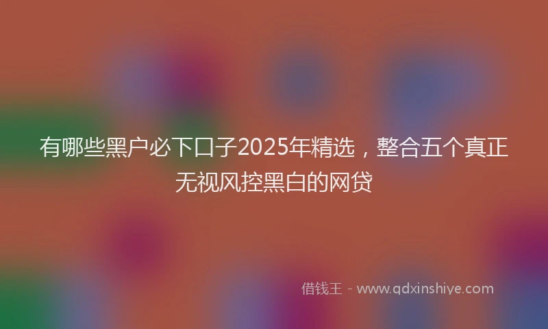 有哪些黑户必下口子2025年精选，整合五个真正无视风控黑白的网贷